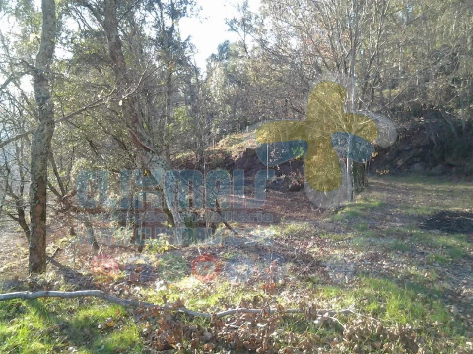 Terreno para Venda em Louredo Foto 5