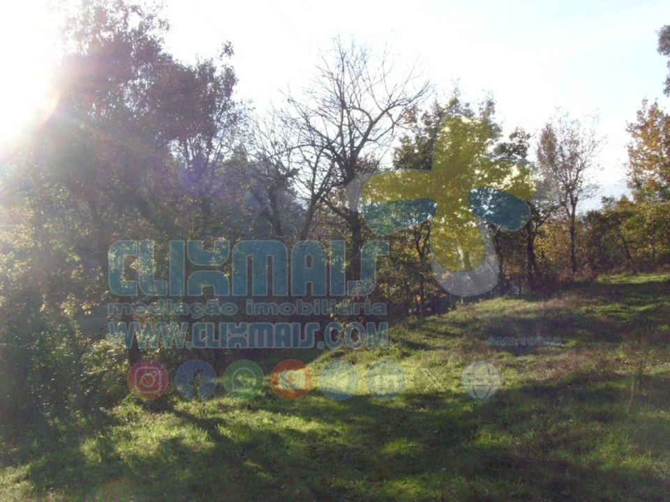 Terreno para Venda em Louredo Foto 21