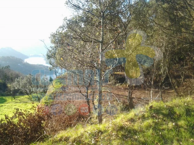 Terreno para Venda em Louredo Foto 3