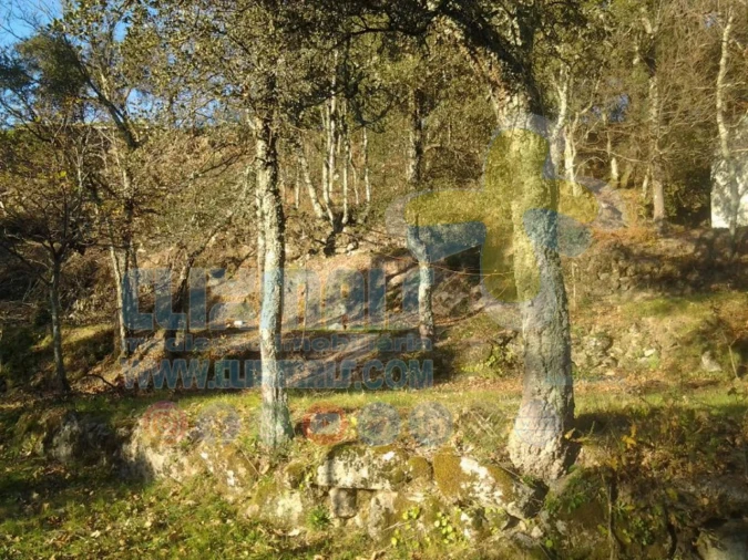 Terreno para Venda em Louredo Foto 6