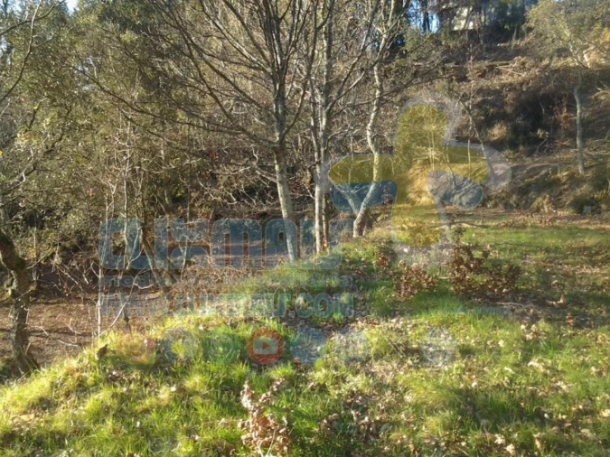 Terreno para Venda em Louredo Foto 7