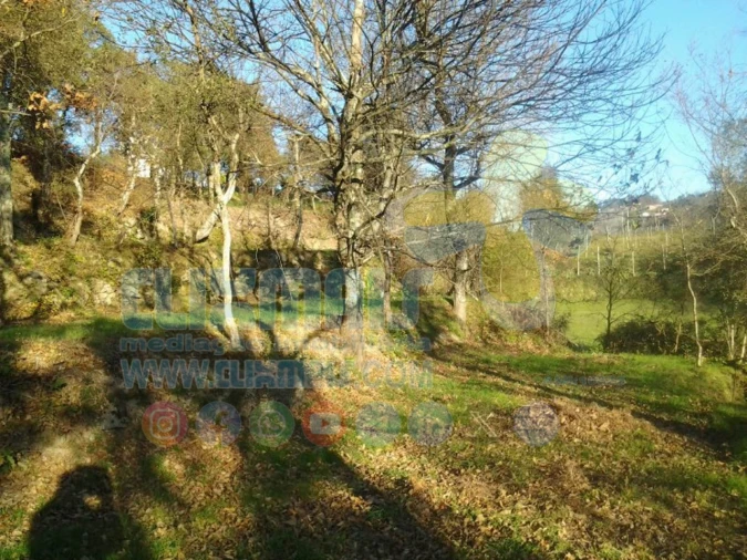 Terreno para Venda em Louredo Foto 8