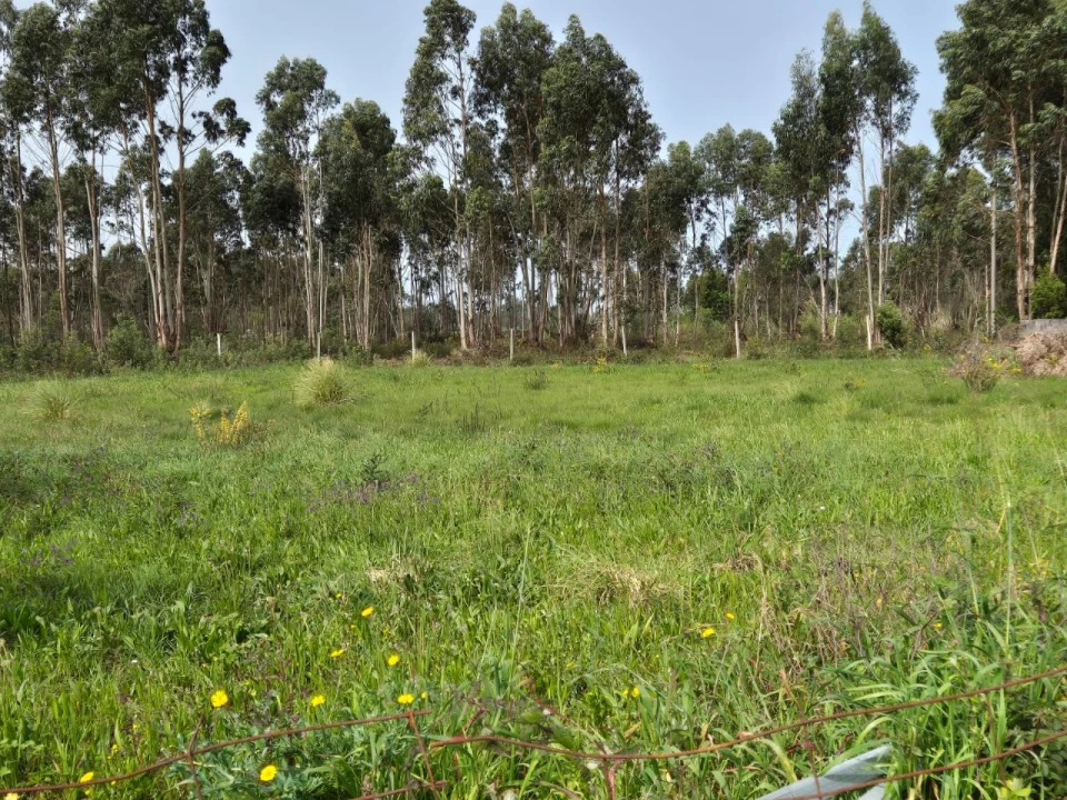 Terreno para Venda em Mindelo Foto 4