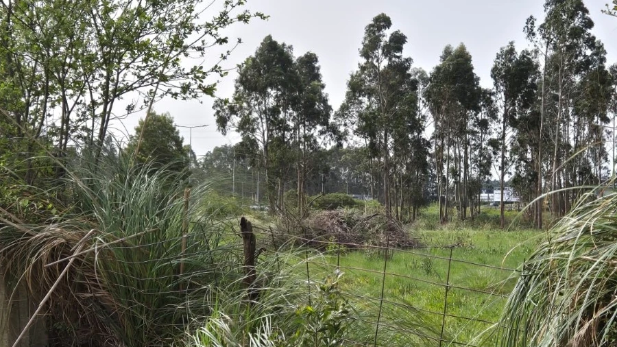 Terreno para Venda em Mindelo