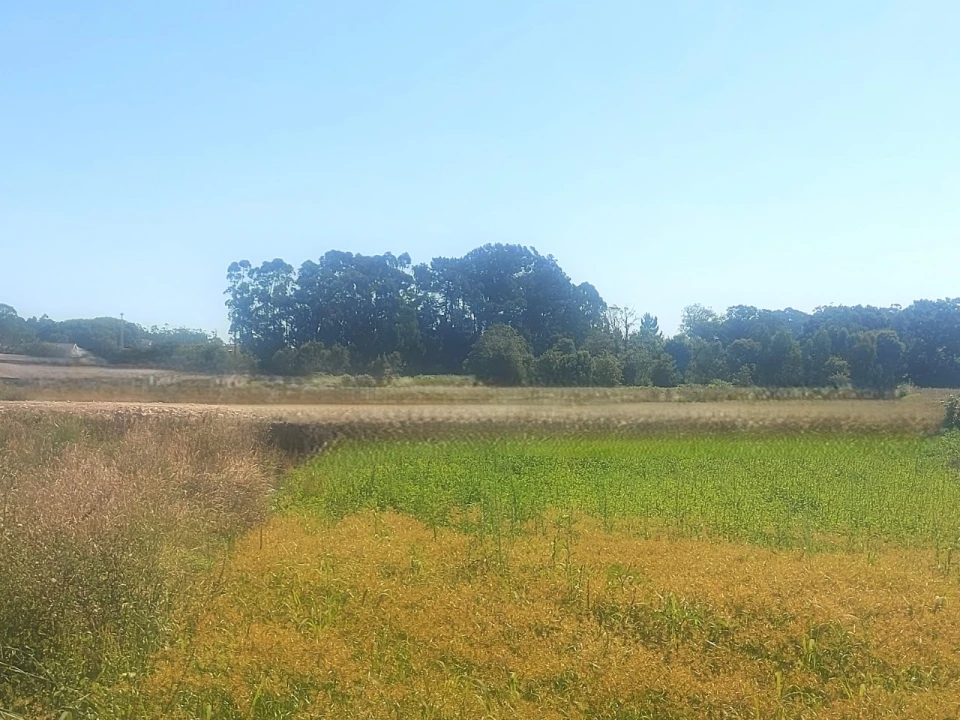 Terreno para Venda em Póvoa de Varzim, Beiriz e Argivai Foto 1