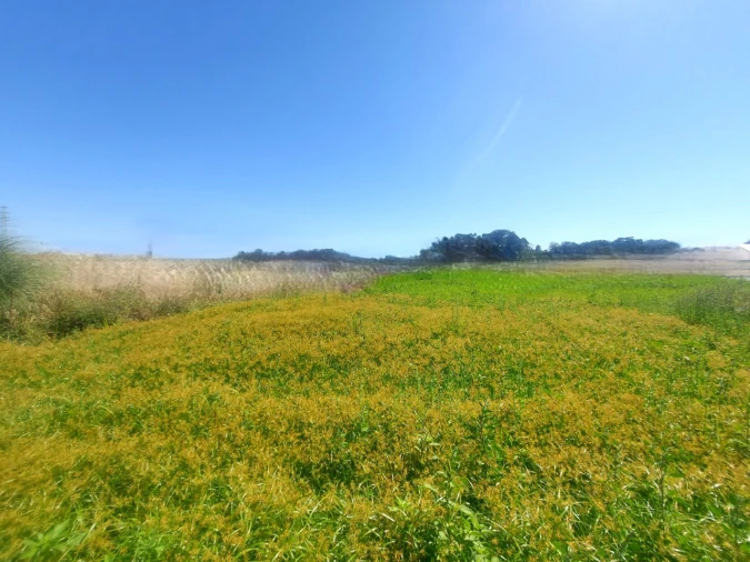 Terreno para Venda em Póvoa de Varzim, Beiriz e Argivai Foto 2