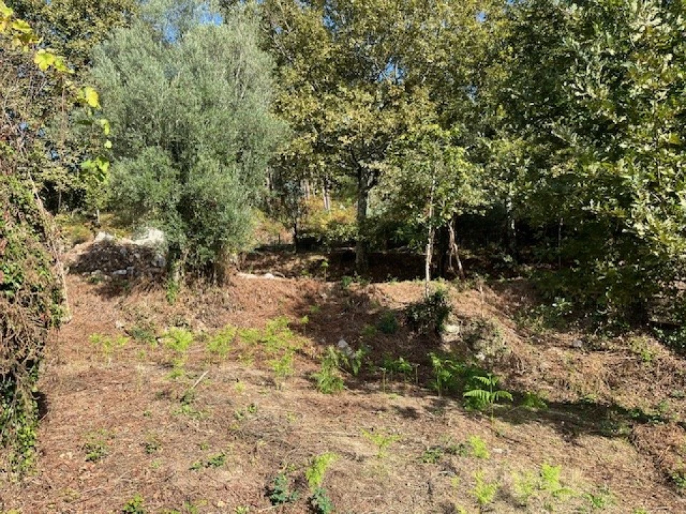 Terreno para Venda em Ponte da Barca, V.N. Muía, Paço Vedro Magalhães Foto 8