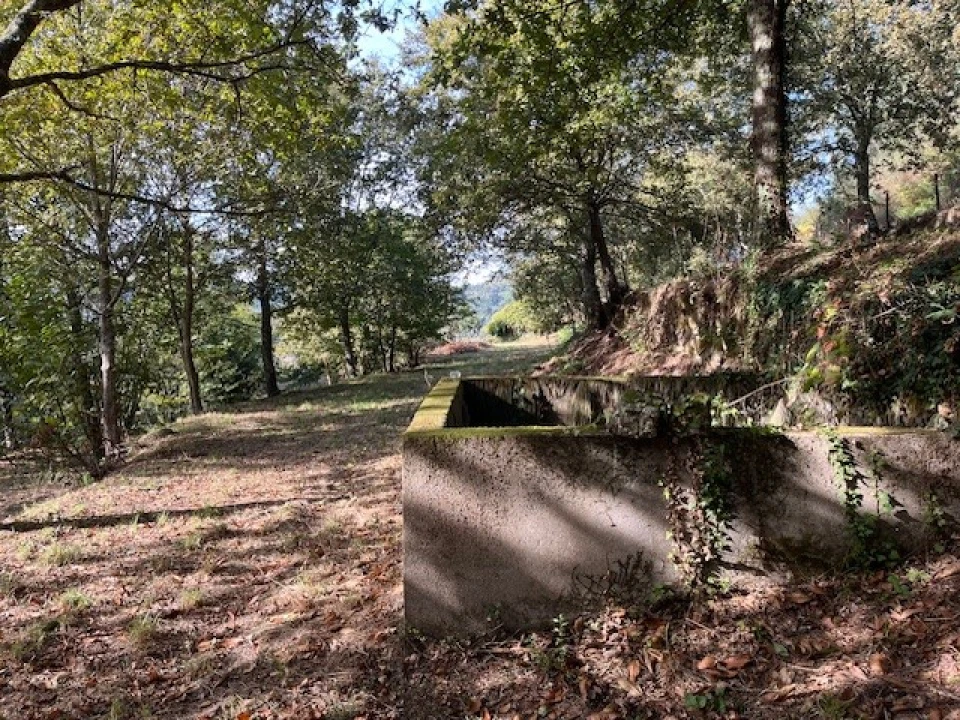 Terreno para Venda em Ponte da Barca, V.N. Muía, Paço Vedro Magalhães Foto 3