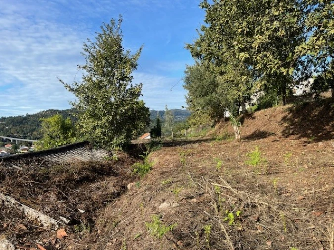 Terreno para Venda em Ponte da Barca, V.N. Muía, Paço Vedro Magalhães Foto 15