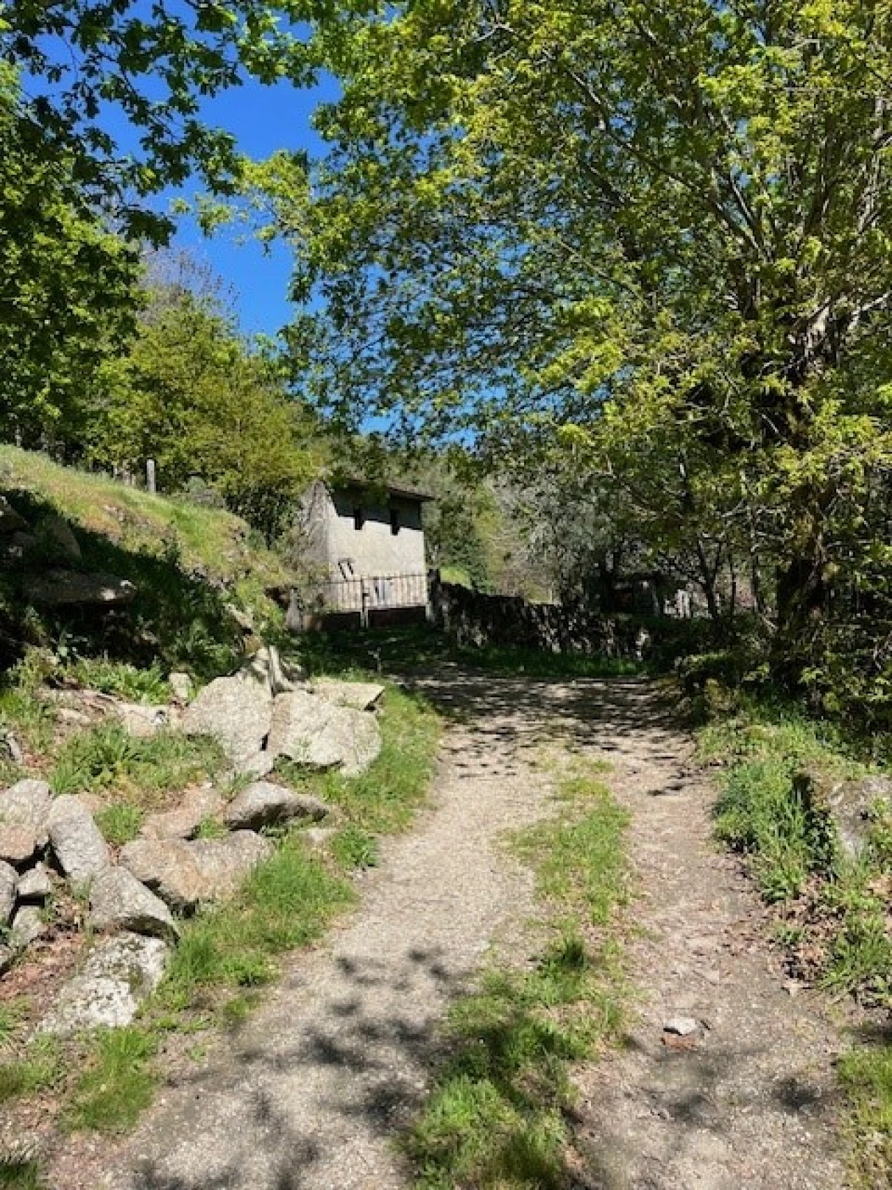 Terreno para Venda em Ponte da Barca, V.N. Muía, Paço Vedro Magalhães Foto 3