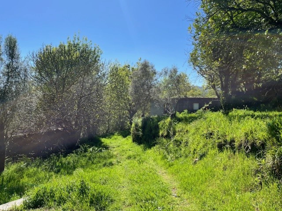 Terreno para Venda em Ponte da Barca, V.N. Muía, Paço Vedro Magalhães Foto 6