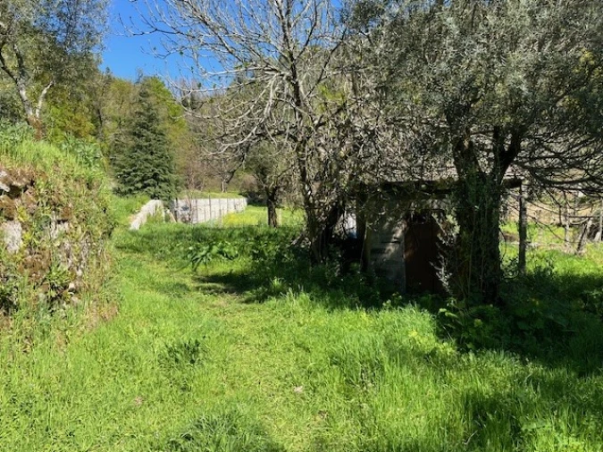 Terreno para Venda em Ponte da Barca, V.N. Muía, Paço Vedro Magalhães Foto 5