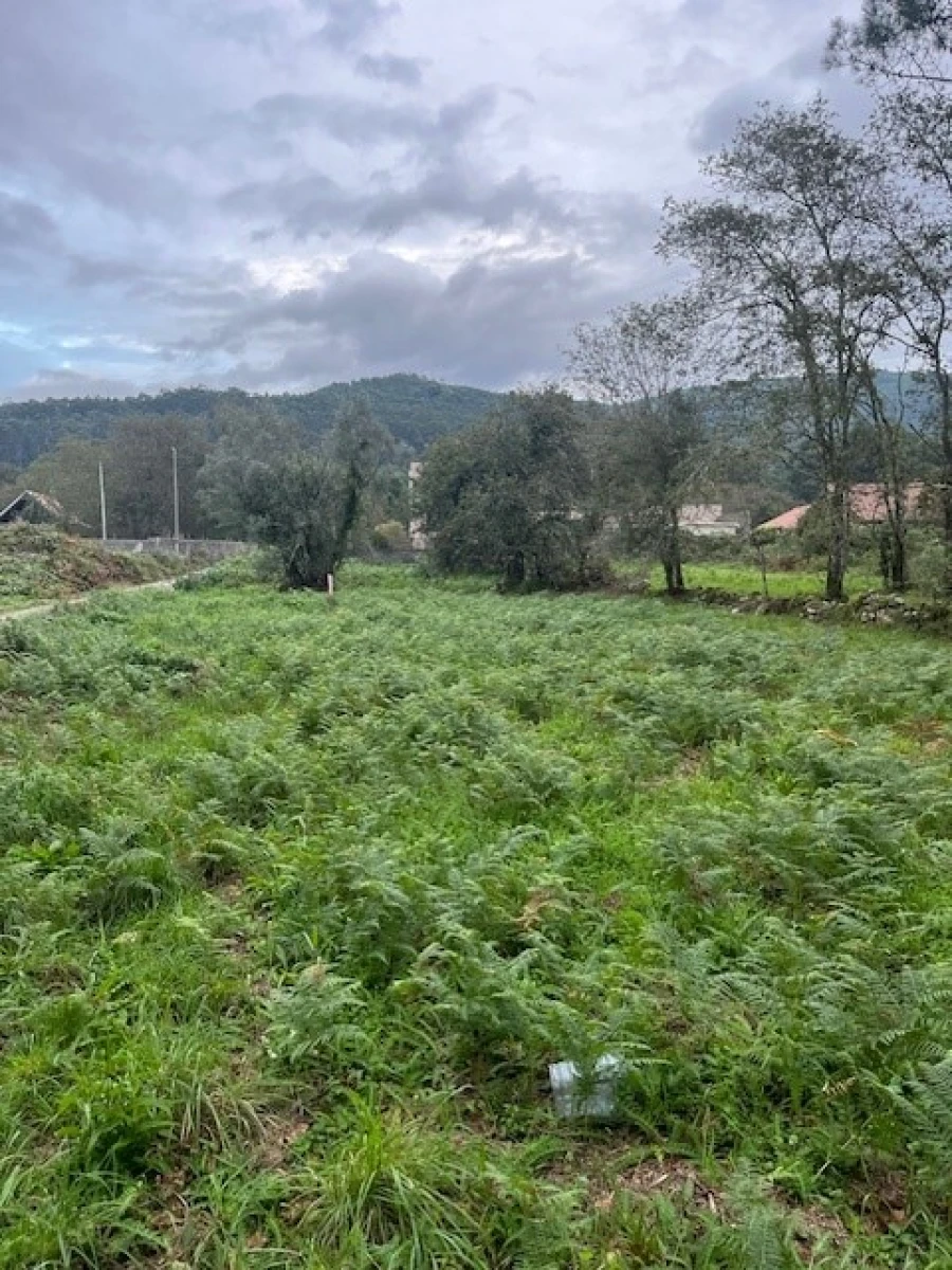 Terreno para Venda em Afife Foto 8