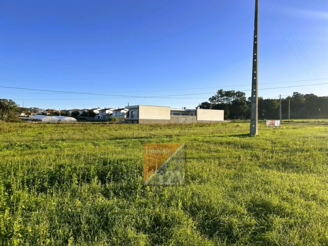 Terreno para Venda em Souto da Carpalhosa e Ortigosa Foto 3