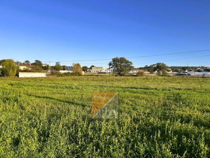 Terreno para Venda em Souto da Carpalhosa e Ortigosa Foto 12