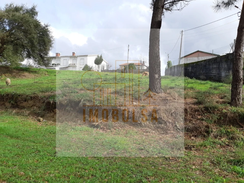 Terreno para Venda em Sequeade e Bastuço (São João e Santo Estêvão) Foto 2