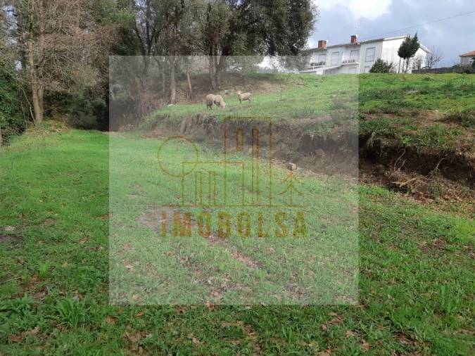 Terreno para Venda em Sequeade e Bastuço (São João e Santo Estêvão)