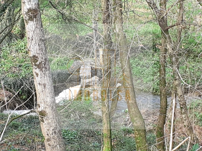 Terreno para Venda em Sequeade e Bastuço (São João e Santo Estêvão) Foto 10