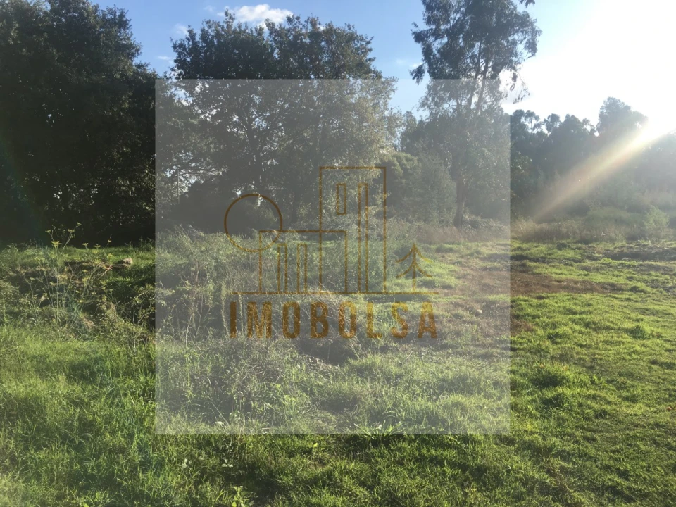 Terreno para Venda em Avidos e Lagoa Foto 2