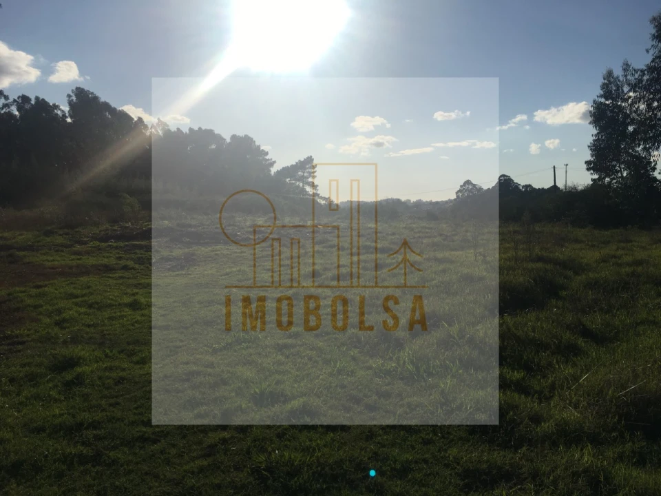 Terreno para Venda em Avidos e Lagoa Foto 4