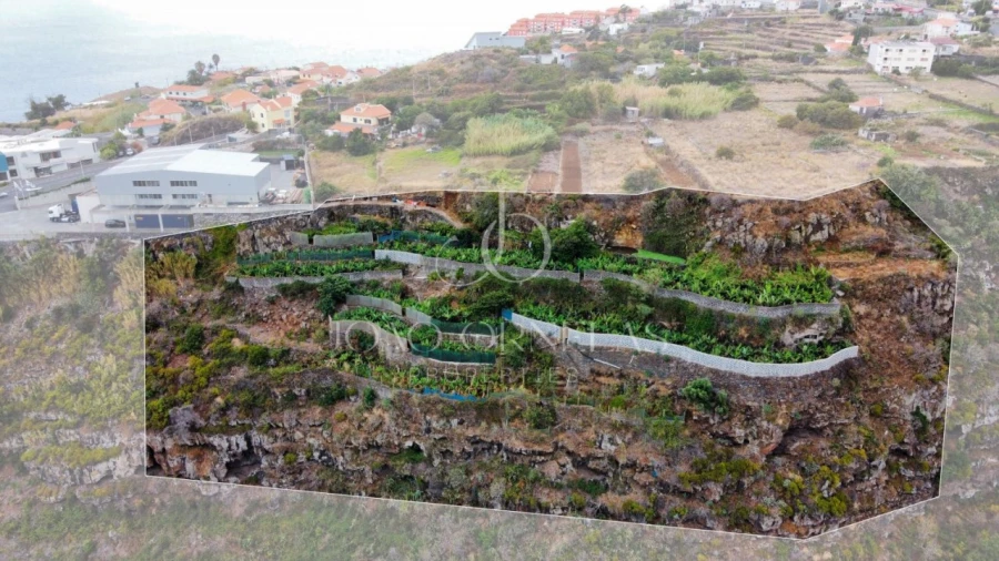 Terreno para Venda em Caniço