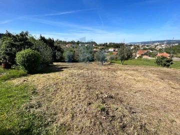 Terreno para Venda em Santa Clara e Castelo Viegas