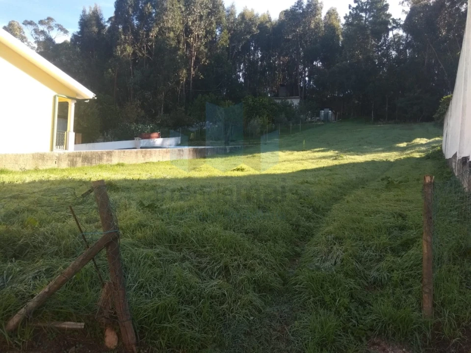 Terreno para Venda em São Martinho do Bispo e Ribeira de Frades Foto 2