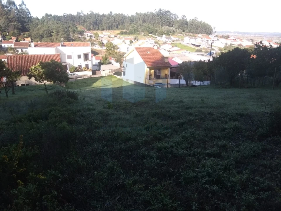 Terreno para Venda em São Martinho do Bispo e Ribeira de Frades Foto 5