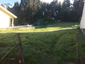 Terreno para Venda em São Martinho do Bispo e Ribeira de Frades