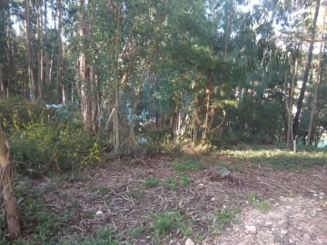 Terreno para Venda em São Martinho do Bispo e Ribeira de Frades
