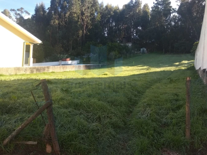 Terreno para Venda em São Martinho do Bispo e Ribeira de Frades Foto 2