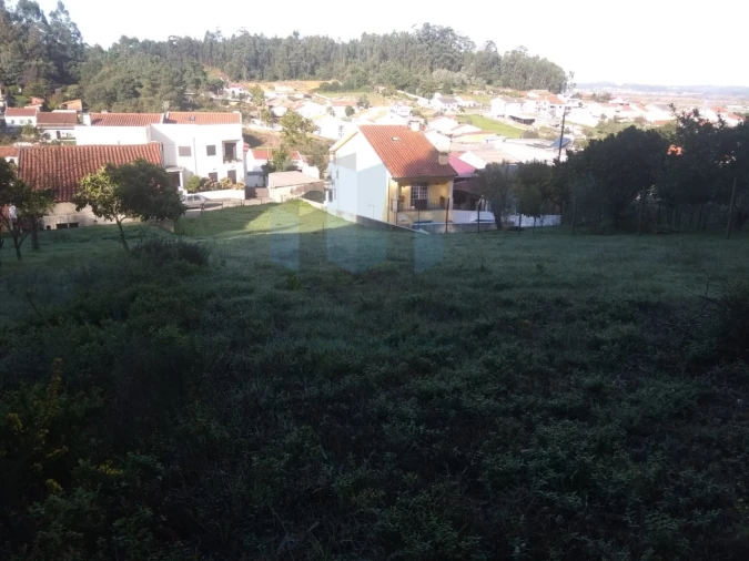 Terreno para Venda em São Martinho do Bispo e Ribeira de Frades Foto 5