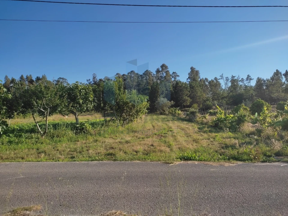 Terreno para Venda em Sebal e Belide Foto 4