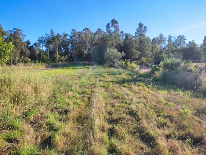 Terreno para Venda em Sebal e Belide Foto 3