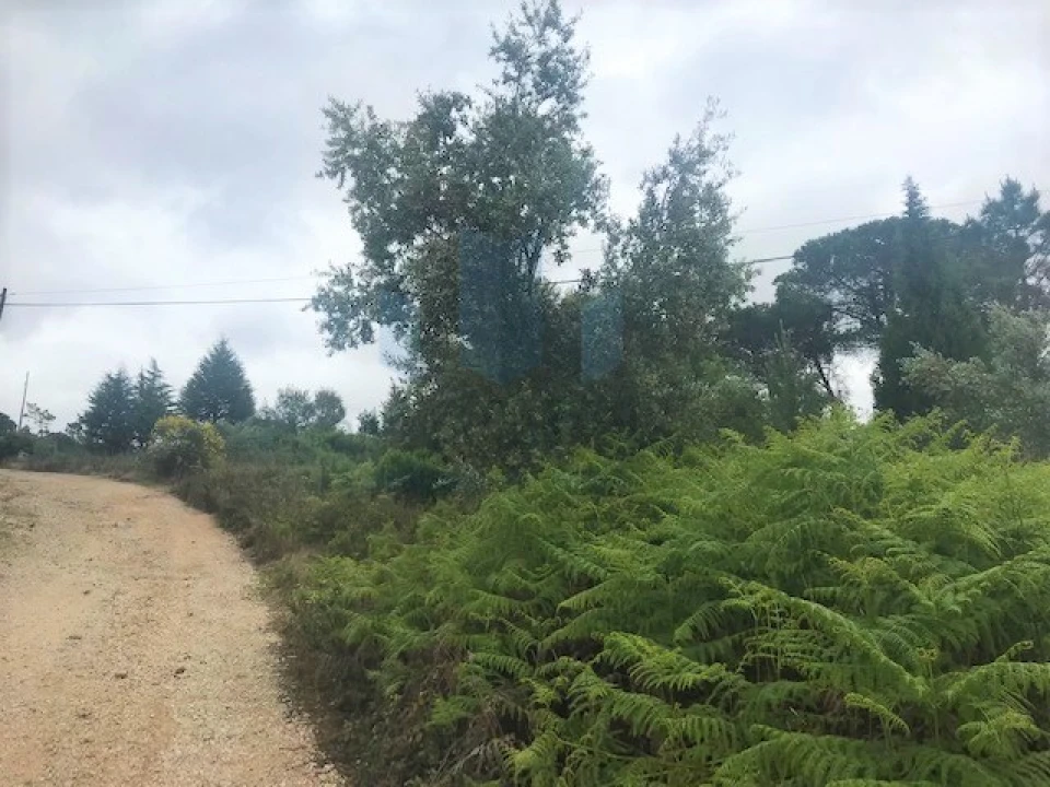 Terreno para Venda em Assafarge e Antanhol Foto 3