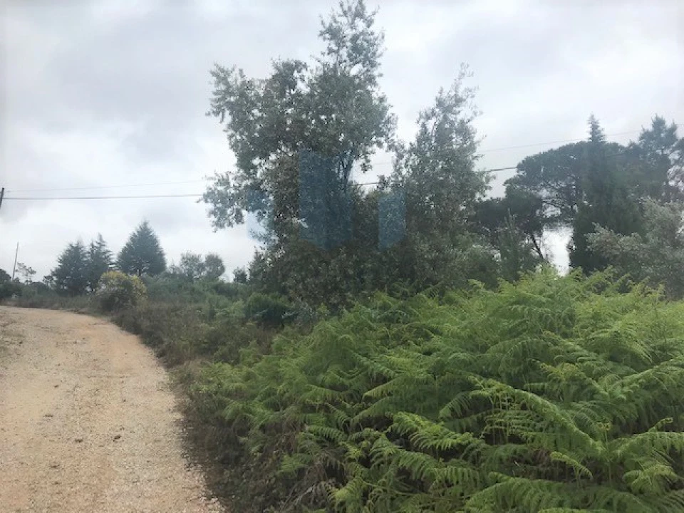 Terreno para Venda em Assafarge e Antanhol Foto 5