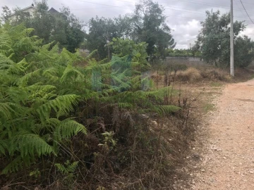Terreno para Venda em Assafarge e Antanhol