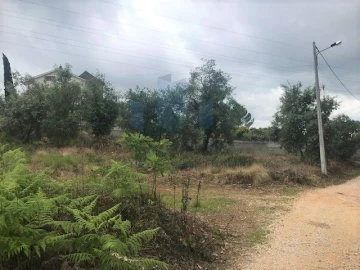 Terreno para Venda em Assafarge e Antanhol