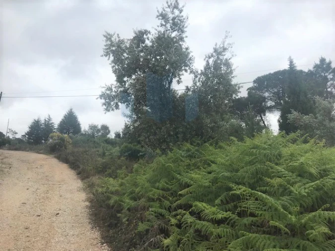 Terreno para Venda em Assafarge e Antanhol Foto 5