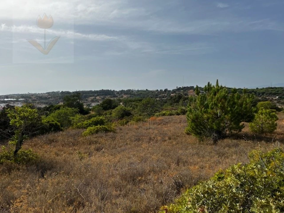 Terreno para Venda em Lagoa e Carvoeiro Foto 9