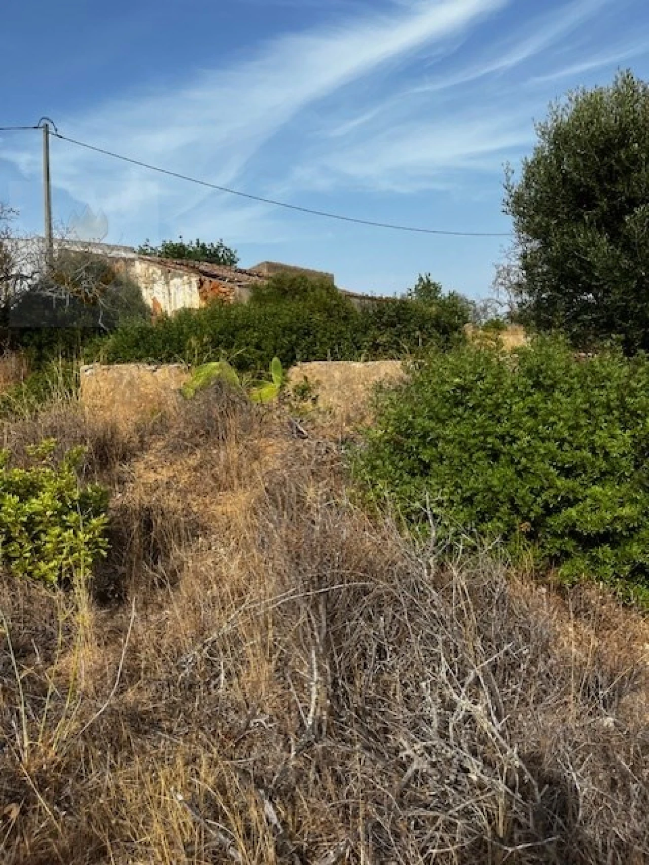Terreno para Venda em Lagoa e Carvoeiro Foto 12
