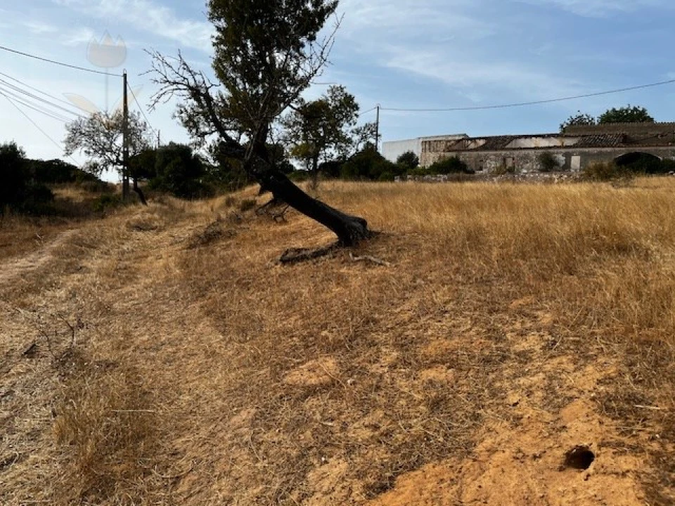 Terreno para Venda em Lagoa e Carvoeiro Foto 14