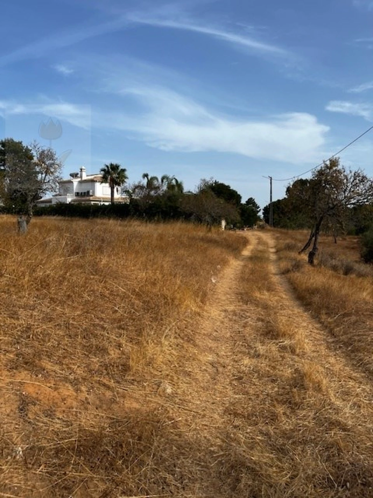 Terreno para Venda em Lagoa e Carvoeiro Foto 15