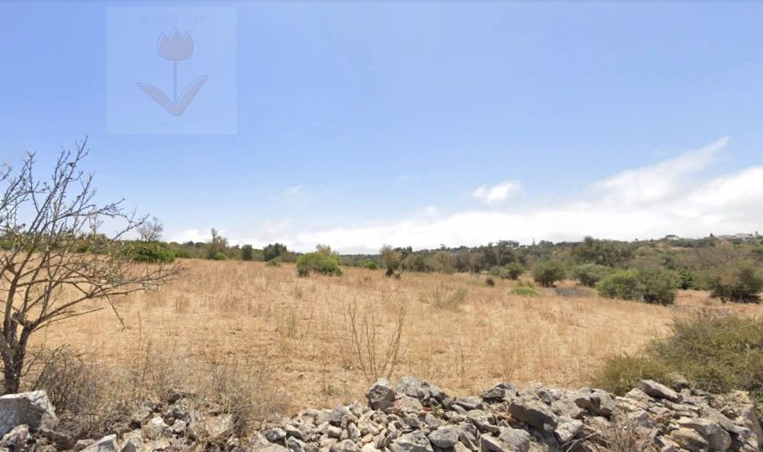 Terreno para Venda em Lagoa e Carvoeiro Foto 4