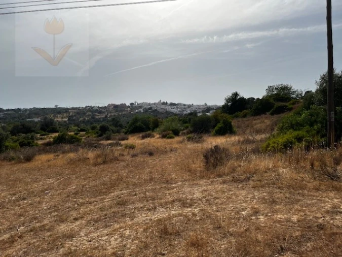 Terreno para Venda em Lagoa e Carvoeiro Foto 5