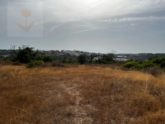 Terreno para Venda em Lagoa e Carvoeiro Foto 6
