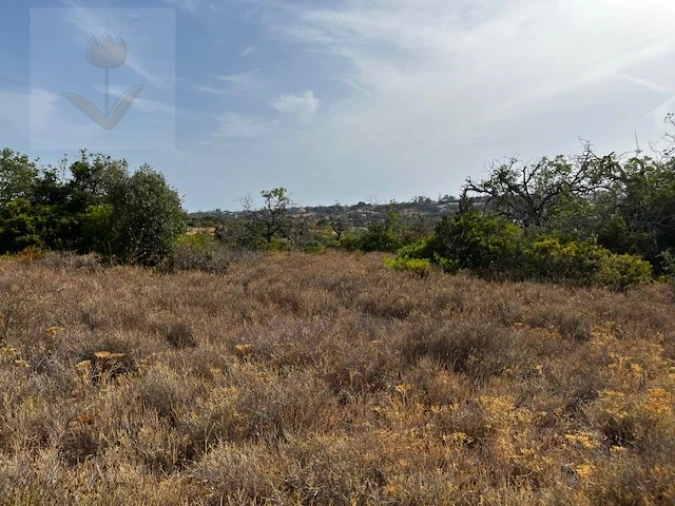 Terreno para Venda em Lagoa e Carvoeiro Foto 10