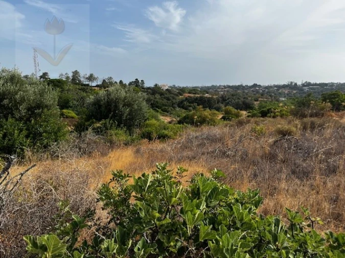 Terreno para Venda em Lagoa e Carvoeiro Foto 11