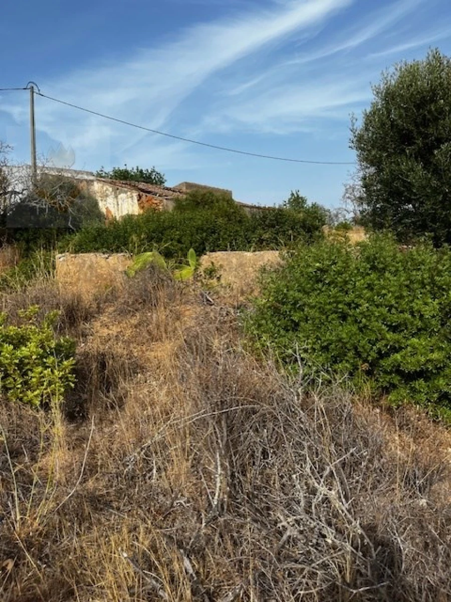 Terreno para Venda em Lagoa e Carvoeiro Foto 12