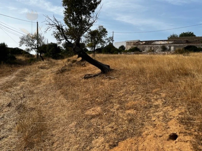 Terreno para Venda em Lagoa e Carvoeiro Foto 14